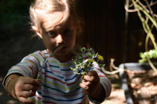 Hier lernen die Kinder die Natur besser kennen.