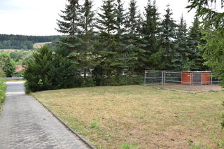 Das Grundstück, auf dem sich die Hunde befinden, liegt zwischen dem Friedhof und der Hauptstraße.