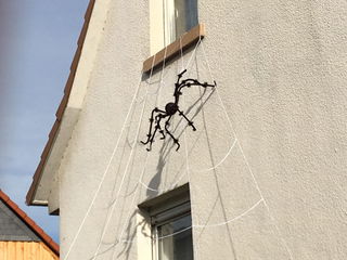 Foto: Jana Riemann