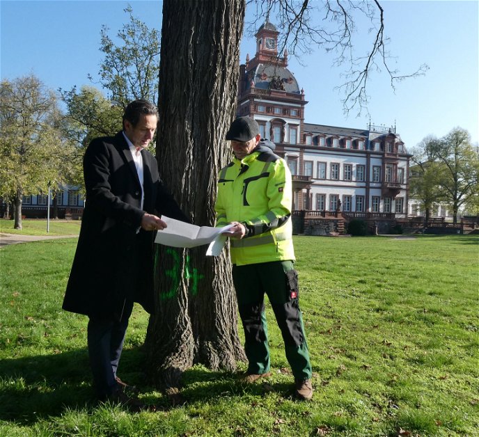HIS-Betriebsleiter Markus Henrich (links) und Baumkontrolleur Michael Schenk inspizieren im Schlosspark, welche Bäume zu fällen sind. Sie sind alle mit grünen Nummern am Stamm versehen.