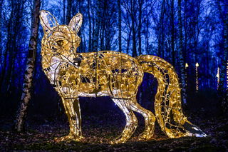 XXL-Leuchtfigur Fuchs - Foto: MK ILLUMINATION