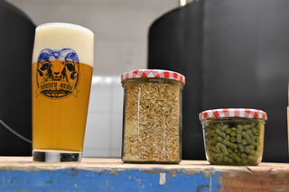 Die Zutaten für ein gute Bier