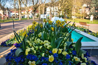 Blühender Kurpark in Bad Orb.