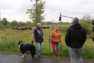 Wasserbüffel ziehen im Hintergrund vorbei, als Sabine und Horst Pabst vom RTL-Team befragt werden.