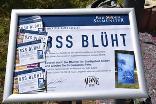 Die Stadt sucht nun nach Stromkasten-Paten, um möglichst viele Stromkästen zu verschönern.