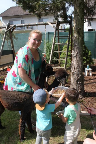 Meike Meintzen füttert zusammen mit den Kindern die kleinen Alpakas.