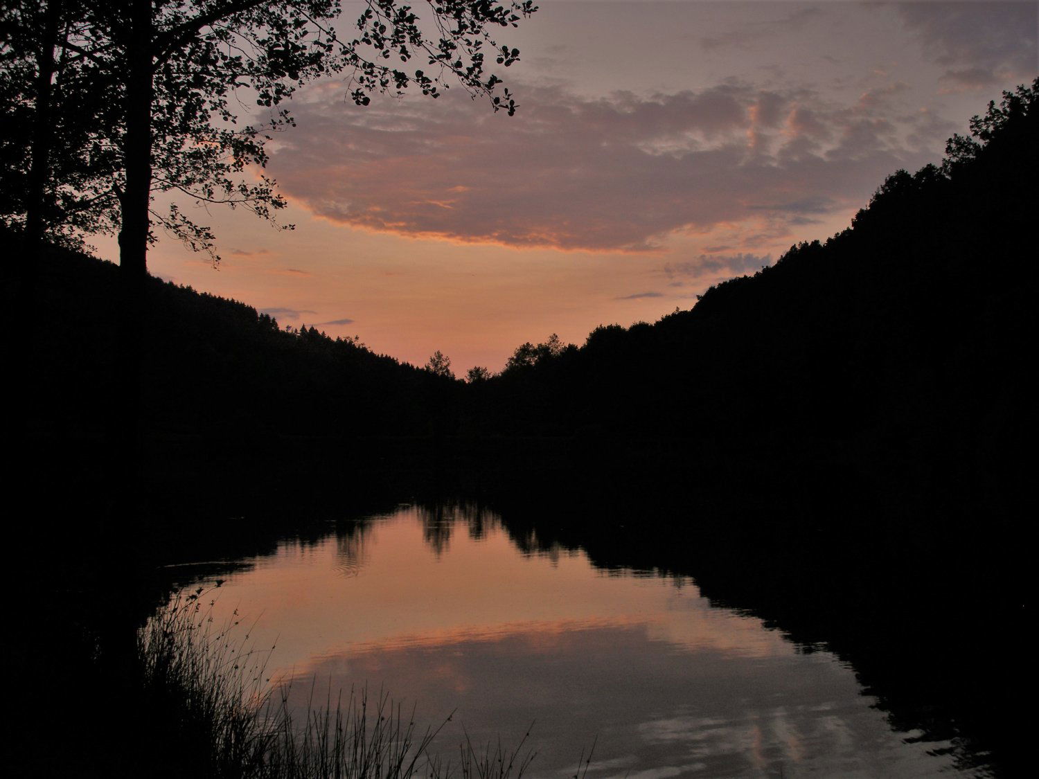 Abendwanderung Auf Dem Spessartbogen