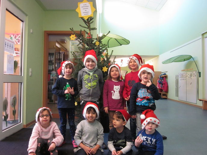 Die Kinder der Kita „Krebsbachstrolche“ haben den Baum für das Franziskus Haus in Hanau  geschmückt.