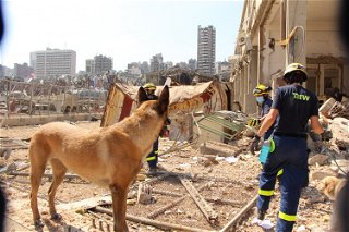Auch Auslandseinsätze wie hier in Beirut gehören dazu  - Foto: THW/Christian Wenzel