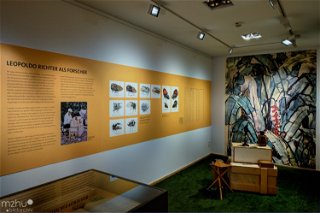 Blick in die Ausstellung Der Wald des Leopoldo Richters im Museum Großauheim. - Foto: Medienzentrum Hanau