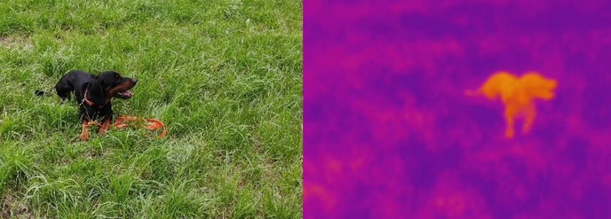 Die Wärmebildkamera ermöglicht effizientes Absuchen auch bei hohem Gras
