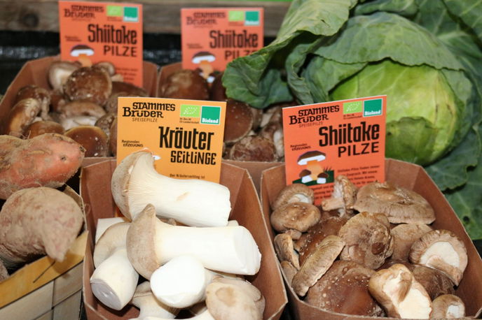 Die Shiitake und Kräuterseitlinge stammen aus dem Anbau des Inklusionsbetriebs Grün und Grün in Altenhasslau.
