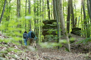 So schön ist unser Spessart - Foto: Spessart Tourismus und Marketing GmbH