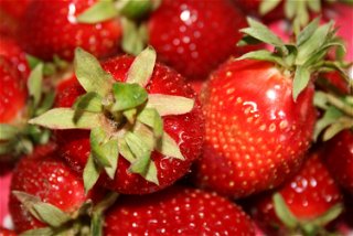 Wie bei Spargel, gilt auch für Erdbeeren: je kürzer der Weg vom Feld auf den Tisch, desto besser. - Archivfotos (2): KN/Stefanie Harth