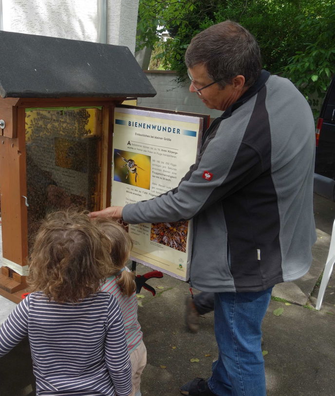 Imker Roland Huhn stellte den Kindern an einem Schaukasten beispielhaft das Leben im Bienenstock vor.