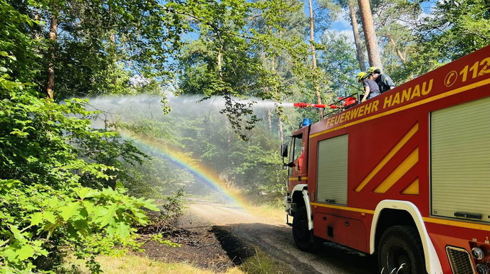 Um 16:48 Uhr kam es im Bereich des Neuwirtshauses im Großauheimer Wald zu einem Feuer.