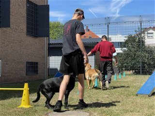 Die beiden Arrestanten beim Üben mit den Hunden