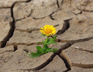 Symbolbild Pixabay