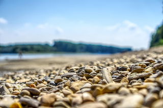 Symbolbild Pixabay