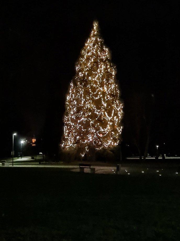 Hessens größter Kinderweihnachtsbaum wird auch in diesem Jahr im Kurpark von Bad Soden im vollen Glanz erstrahlen.