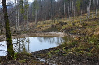 Der Niederschlag soll durch das Errichten der Becken im Wald verbleiben 