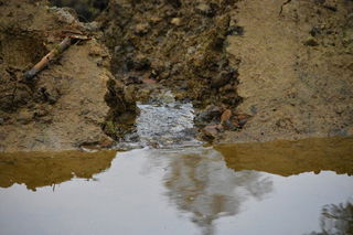 Die Teiche dienen als Wasserquelle für die Tiere, und sorgen in Dürreperioden dafür, dass der Wald feucht bleibt 