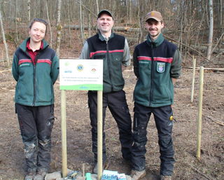 Die Vertreter des Forstamtes mit der Hinweistafel der unterstützenden Organisationen (v.li.): Leonie Tinnefeld, Sebastian Merkel, Lucas Stübner.