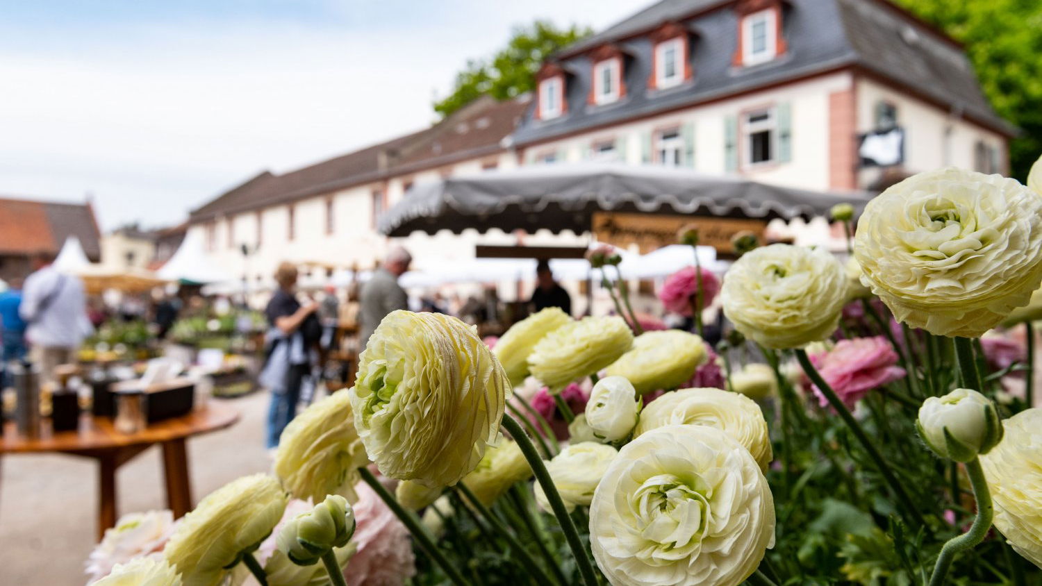 Das Fürstliche Gartenfest Im Hofgut Kranichstein