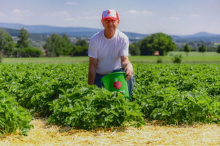 Seniorchef Wolfgang Würfl auf dem Feld bei Sickels