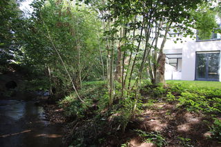 Direkt am idyllischen Elmbach liegt das Neubauprojek.