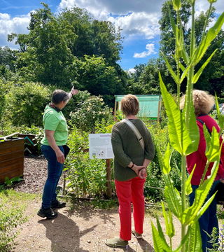 Das Team des Umweltzentrums informiert über Pflanzen, die besonders attraktiv für Schmetterlinge und Wildbienen sind.