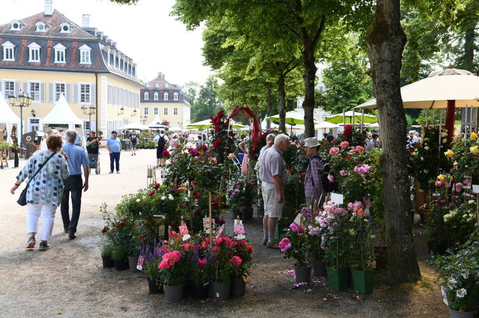 Gartenfest im Staatspark Hanau-Wilhelmsbad.