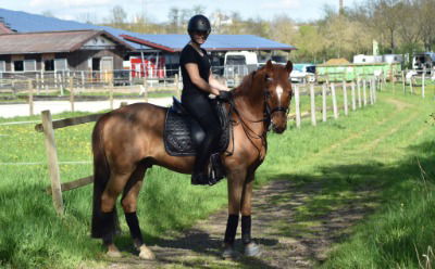 &#34;Day of Champ&#34; wartet beim Ponyreiten auf euch!