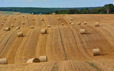 Zwangskollektivierung: Die sozialistische Stadt wurde auf dem Dorf nachgebildet.