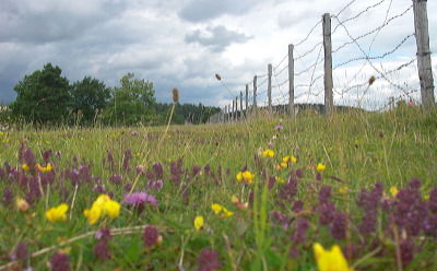 Vom Gewaltraum zum Naturraum – die ehemalige Grenze bei Point Alpha.