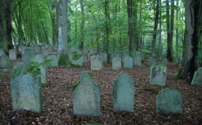 Der jüdische Friedhof in Altengronau, Foto: Ernst Müller-Marschhausen