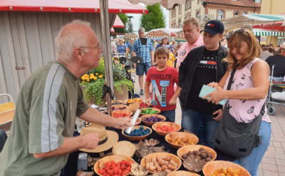 Reges Markttreiben auf dem historischen Marktplatz - regionale Qualitätsprodukte im Angebot