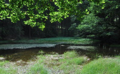 Abendwanderung auf dem Spessartbogen